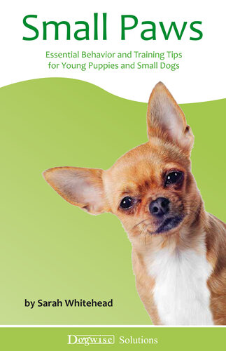 Small Paws: Essential Behavior and Training Tips for Young Puppies and Small Dogs
