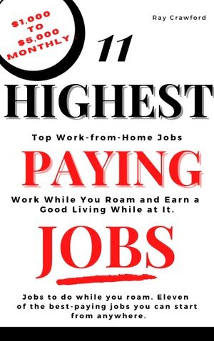 11 Highest Paying Jobs: Work from Home While You Roam