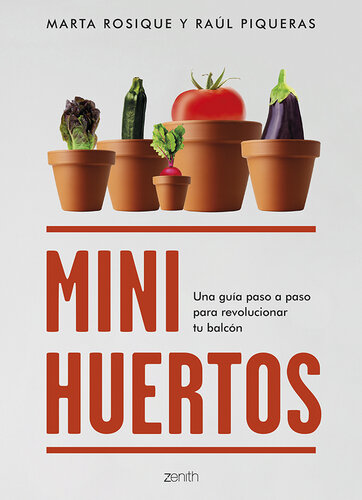 Minihuertos: Una guía paso a paso para revolucionar tu balcón