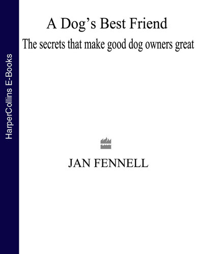 A Dog's Best Friend: The Secrets That Make Good Dog Owners Great