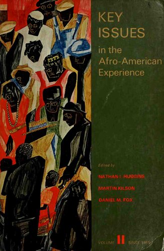Key issues in the afro-american experience