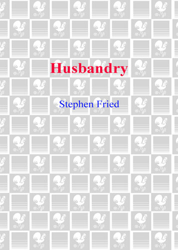 Husbandry: Love and Dirty Laundry--Inside the Minds of Married Men