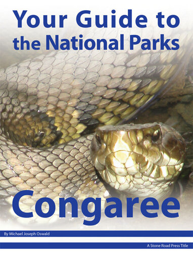 Your Guide to Congaree National Park
