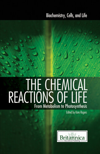 The Chemical Reactions of Life: From Metabolism to Photosynthesis