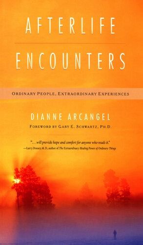 Afterlife Encounters: Ordinary People, Extraordinary Experiences