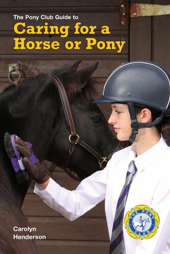 Caring for a Horse Or Pony