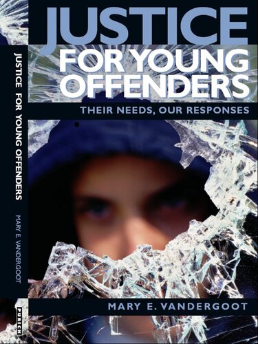Justice for Young Offenders: Their Needs, Our Responses