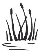 Turtle Envy: How Facing the Fear of Diving Added New Adventures in Life and New Depths in Love: Own Your Path, #2