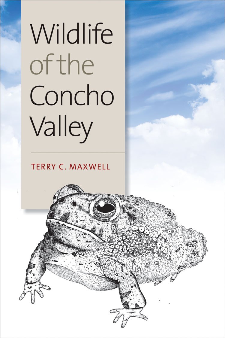 Wildlife of the Concho Valley (Volume 48) (W. L. Moody Jr. Natural History Series)