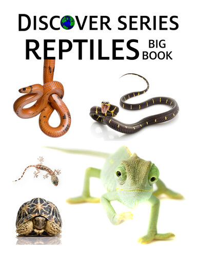 Reptiles Big Book: Snakes, Lizards, Turtles and More