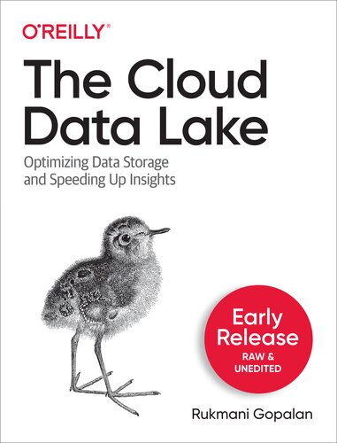 The Cloud Data Lake