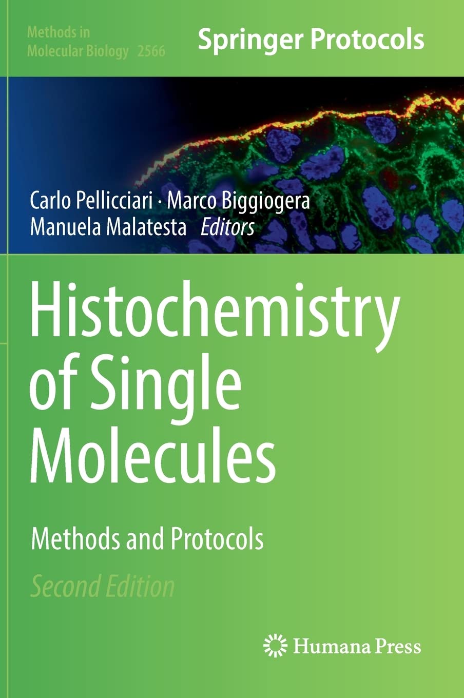 Histochemistry of Single Molecules: Methods and Protocols