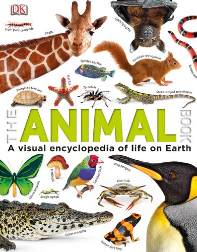 The Our World in Pictures The Animal Book: A Visual Encyclopedia of Life on Earth (DK Our World in Pictures)