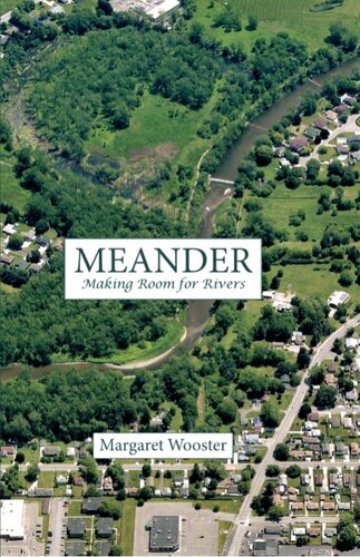 Meander: Making Room for Rivers