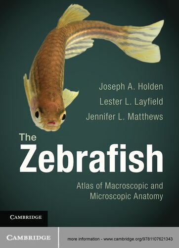 The Zebrafish: Atlas of Macroscopic and Microscopic Anatomy