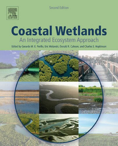 Coastal Wetlands: An Integrated Ecosystem Approach