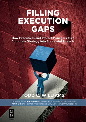Filling Execution Gaps: How Executives and Project Managers Turn Corporate Strategy Into Successful Projects