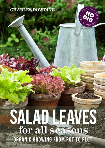 Salad leaves for all seasons: Organic Growing from Pot to Plot