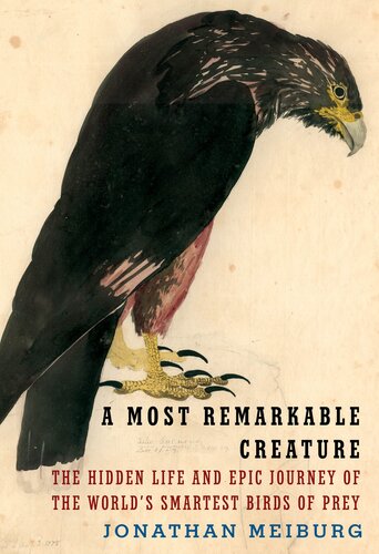 A Most Remarkable Creature: The Hidden Life of the World's Smartest Birds of Prey