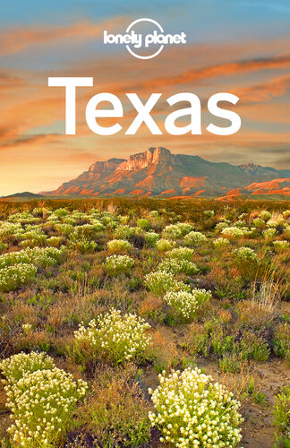 Lonely Planet Texas