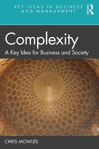 Complexity: A Key Idea for Business and Society (Key Ideas in Business and Management)