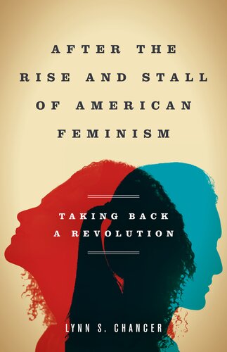 After the Rise and Stall of American Feminism: Taking Back a Revolution