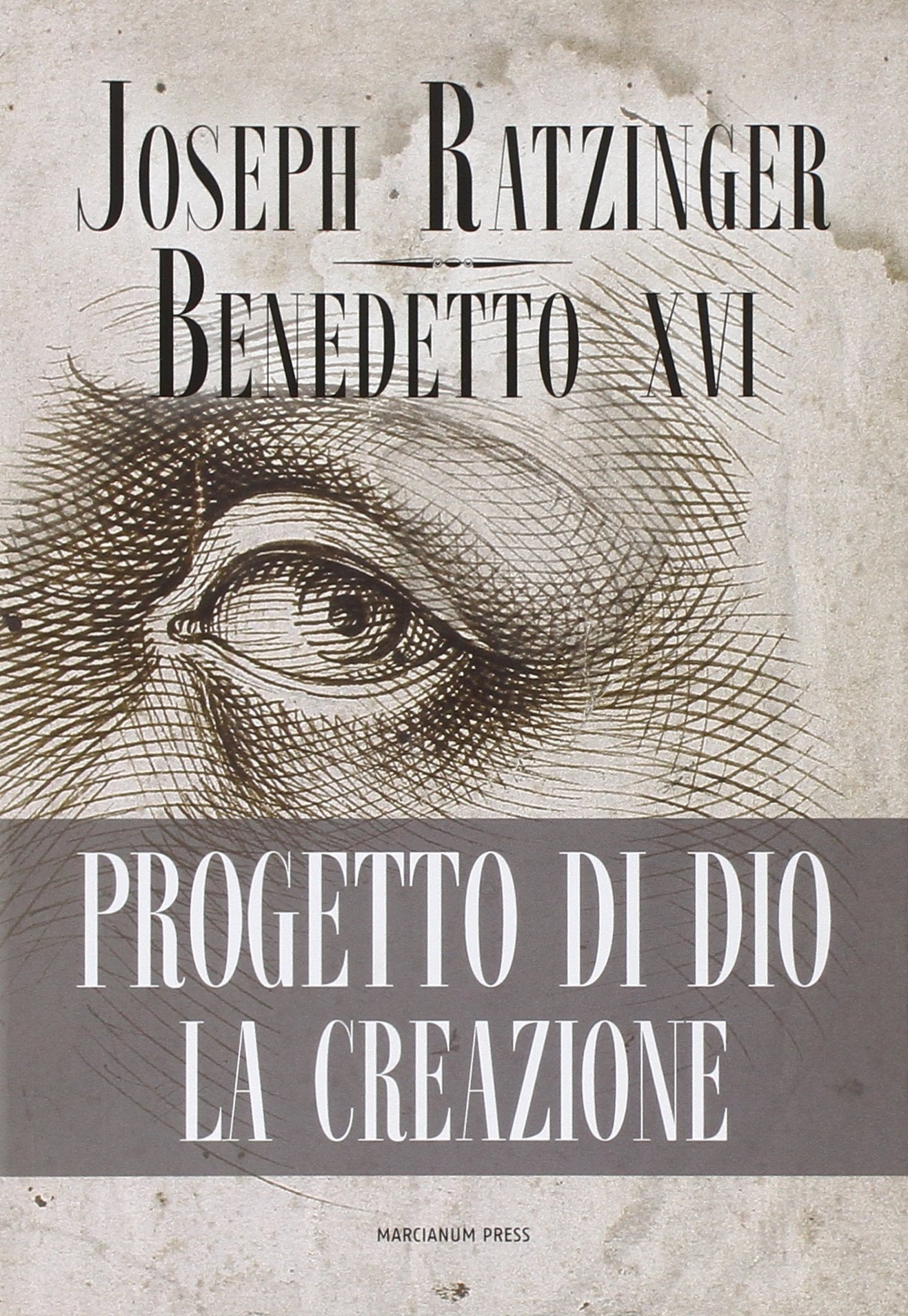Progetto di Dio: la creazione