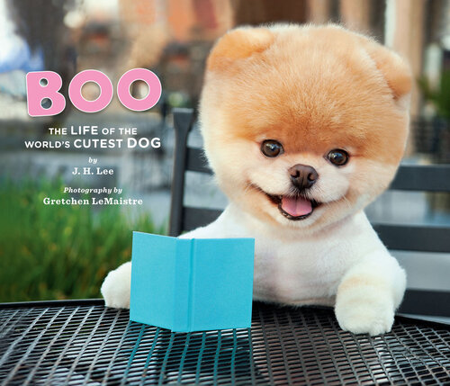 Boo: The Life of the World's Cutest Dog