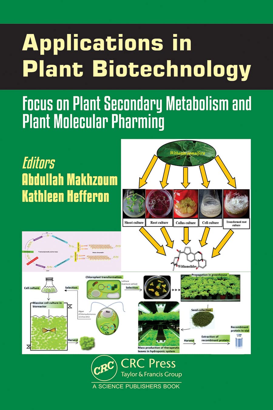 Applications in Plant Biotechnology: Focus on Plant Secondary Metabolism and Plant Molecular Pharming