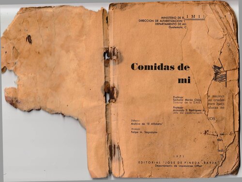 Comidas de mi Tierra