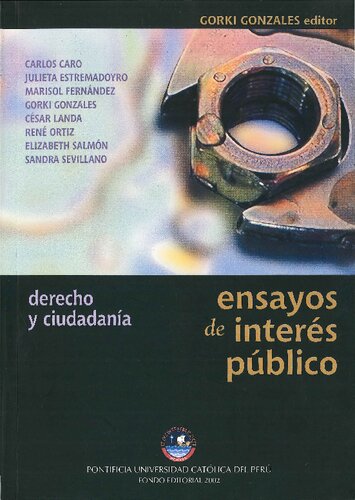 Derecho y ciudadanía: ensayos de interés público