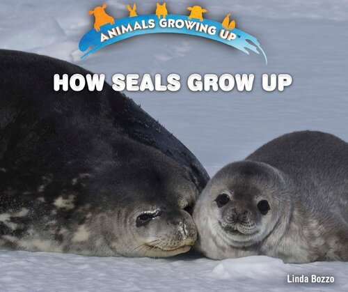 How Seals Grow Up