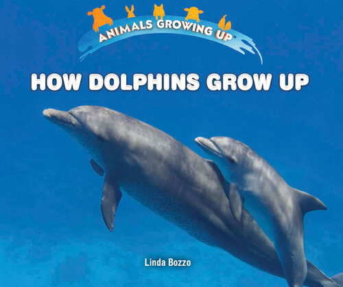 How Dolphins Grow Up