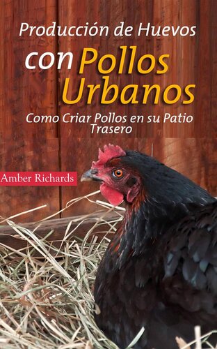 Producción De Huevos Con Pollos Urbanos: Como Criar Pollos En Su Patio Trasero