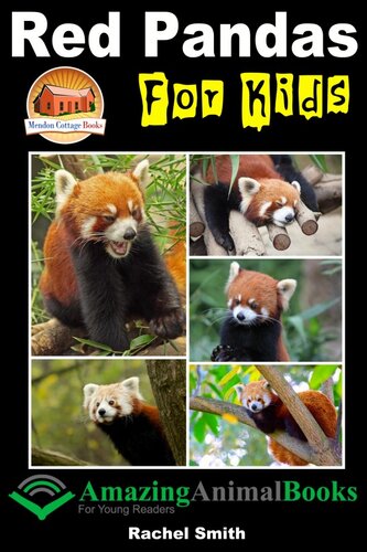 Red Pandas For Kids