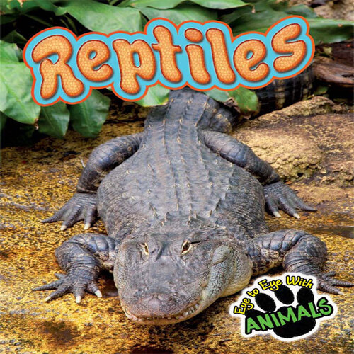 Reptiles