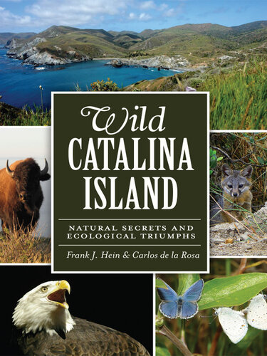 Wild Catalina Island: Natural Secrets and Ecological Triumphs