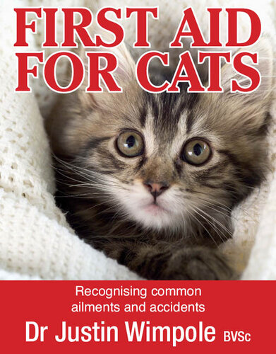 First Aid for Cats: Recognising Common Ailments and Accidents
