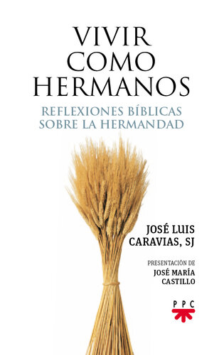 Vivir como hermanos: reflexiones bíblicas sobre la hermandad