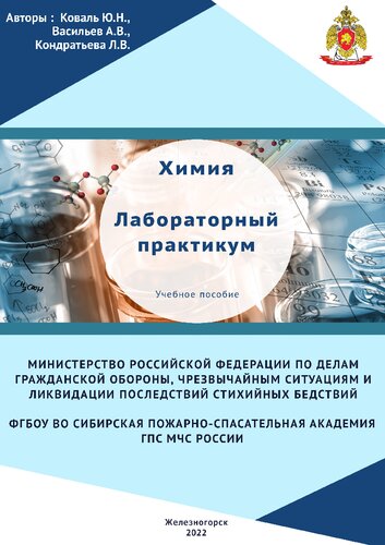 Химия. Лабораторный практикум