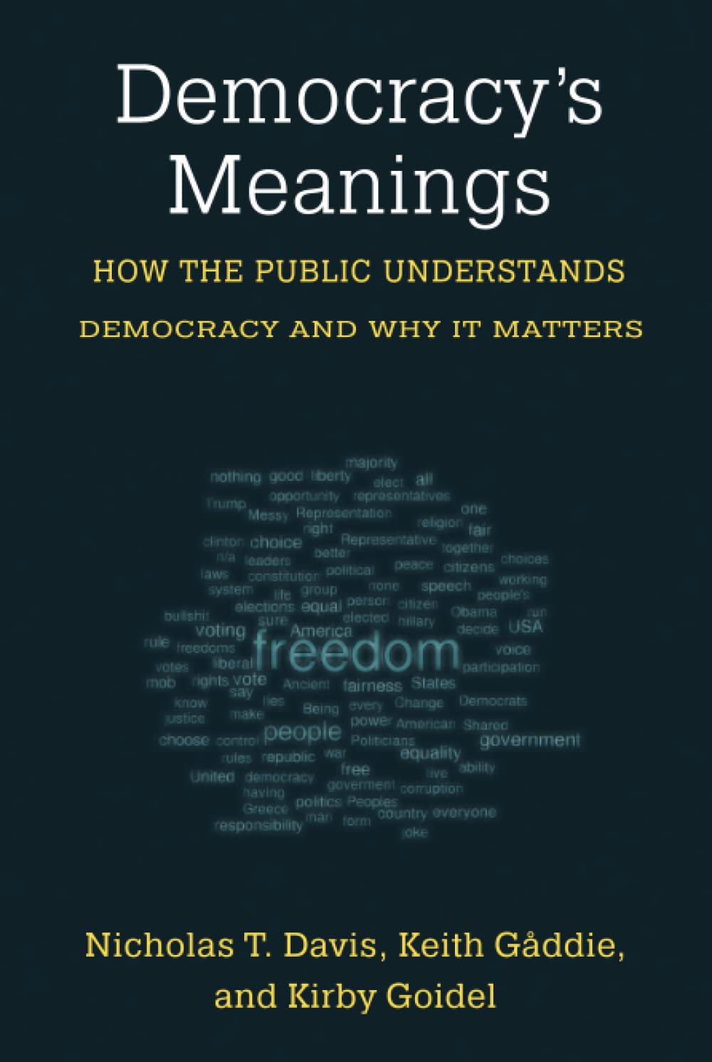 Democracy's Meanings: How the Public Understands Democracy and Why It Matters