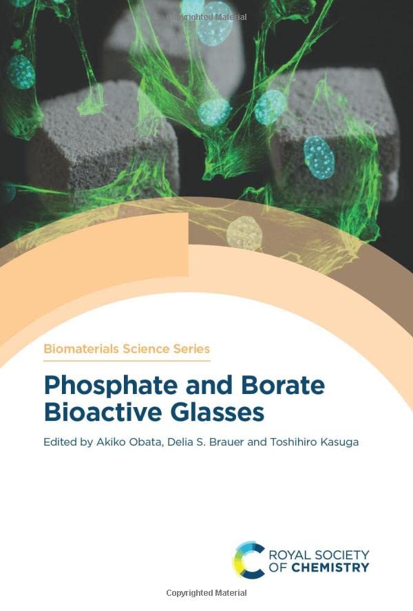 Phosphate and Borate Bioactive Glasses