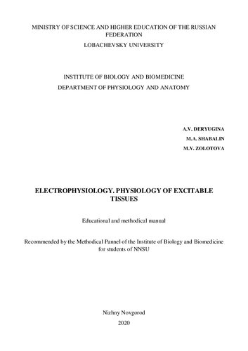 Electrophysiology. Physiology of excitable tissues: Educational and methodical manual