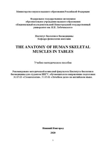 The anatomy of human skeletal muscles in tables: Учебно-методическое пособие