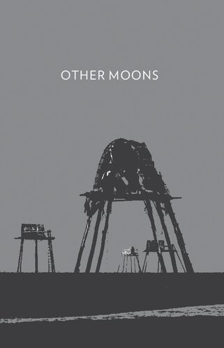 Other moons: Vietnamese short stories of the American War and its aftermath