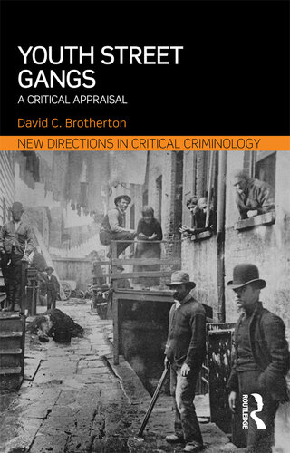 Youth Street Gangs: A critical appraisal (New Directions in Critical Criminology)