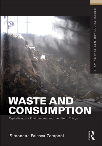 Waste and Consumption: Capitalism, the Environment, and the Life of Things