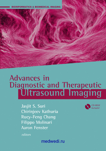 Advances in Diagnostic and Therapeutic Ultrasound Imaging