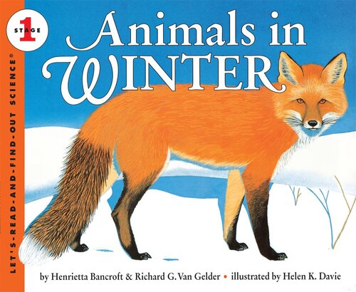 Animals in Winter