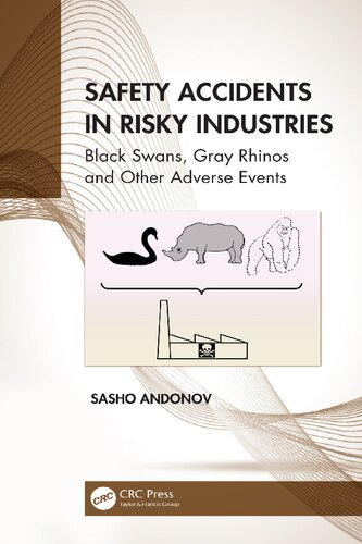 Safety Accidents in Risky Industries: Black Swans, Gray Rhinos and Other Adverse Events